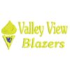 valleyviewblazerstorchyellow