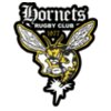 HORNETS RUGBY CLUB