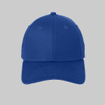 Structured Stretch Cotton Cap